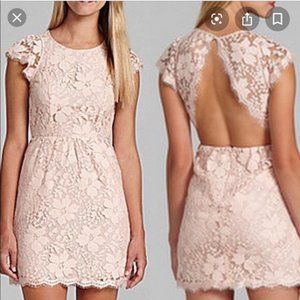 BCBG cap sleeve roseblush cocktail dress